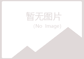 龙山区白山木材有限公司